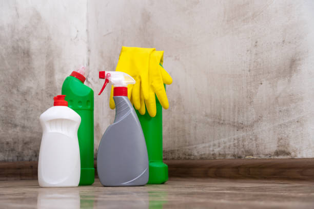 Why You Should Choose Our Mold Remediation Services in Grayson Valley, AL